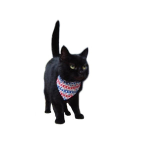 Black Cat wearing stars and stripes cat bandana