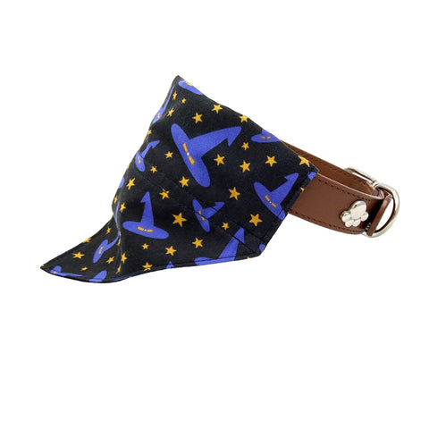 Black and purple witches hats puppy bandana on dog collar
