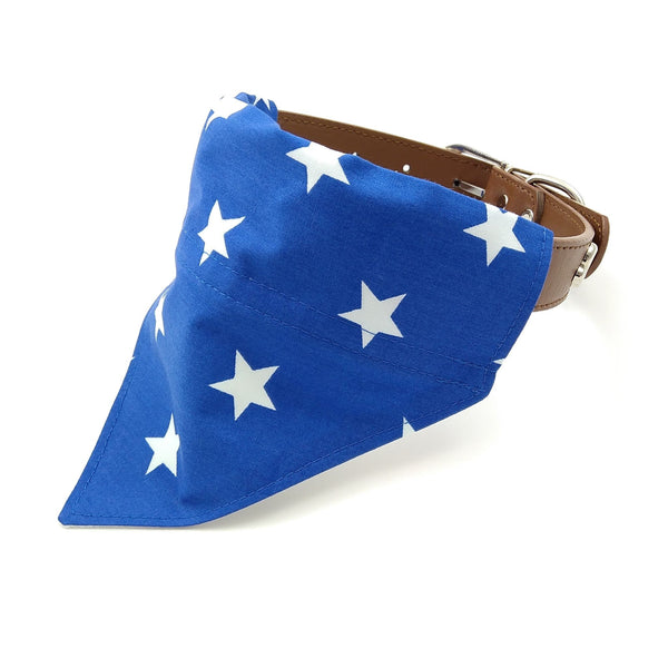 Blue dog bandana on collar from front