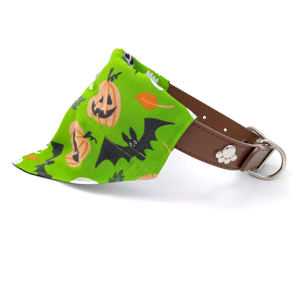 Green Halloween puppy bandana on dog collar