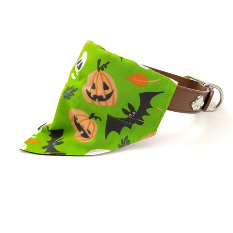 Green Halloween dog bandana on collar