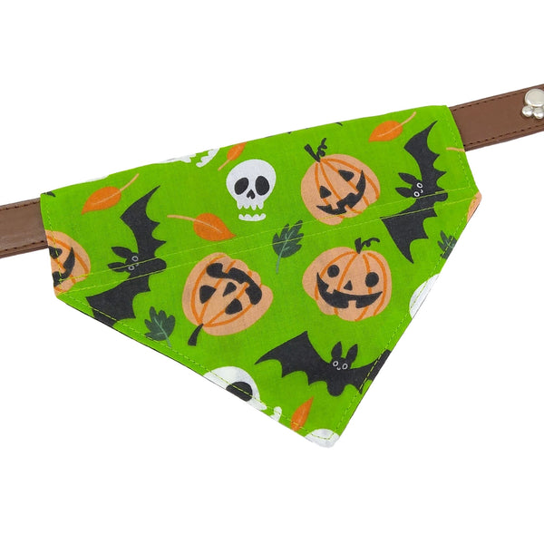 Green bats and pumpkins dog bib on collar