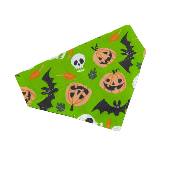 Green pumpkins bats and skulls dog scarf