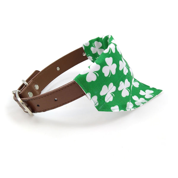 Ireland puppy bandana on dog collar