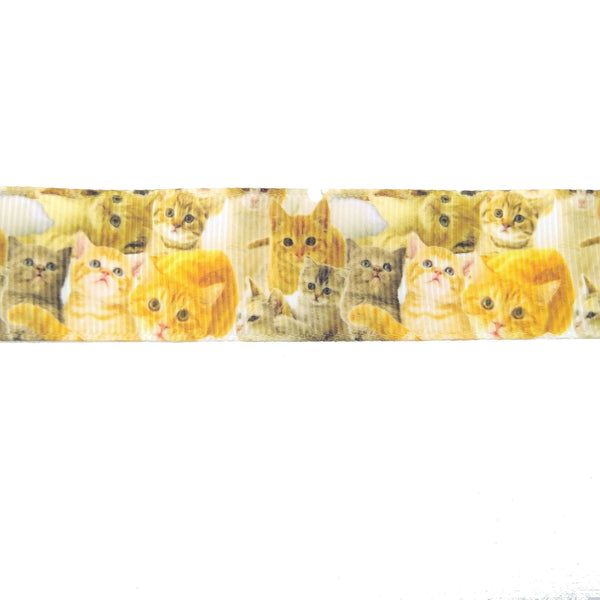 Ginger kittens polyester grosgrain ribbon