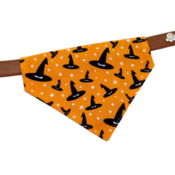 Orange Halloween dog scarf on collar