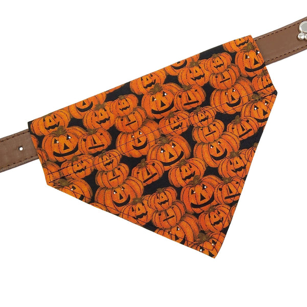 Pumpkins over the collar dog bandana