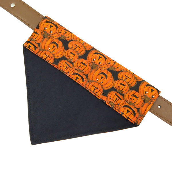 Pumpkins slide on dog bandana on collar