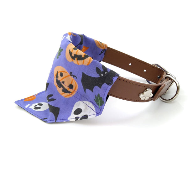 Purple Halloween dog bandana on collar