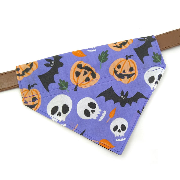 Purple bats and pumpkins over the collar dog bandana
