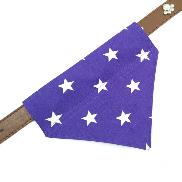 Purple bandana on dog collar from above