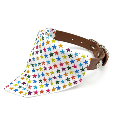 Rainbow stars dog bandana on collar