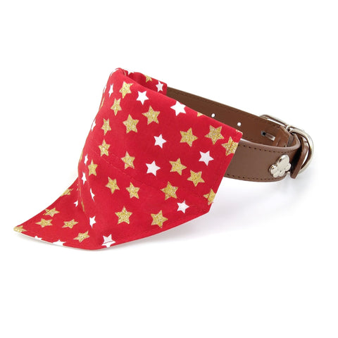 Red and gold stars puppy bandana on dog collar