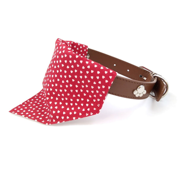 Red hearts dog bandana on collar