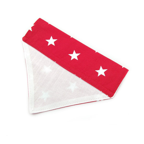 Back of red dog bandana with white lining from above