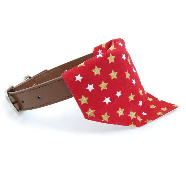 Red with gold stars puppy scarf on dog collar