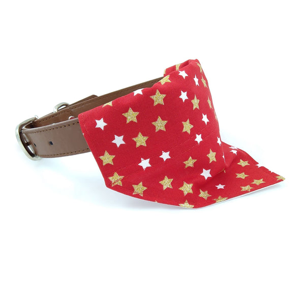 Red with gold stars puppy neckerchief on collar