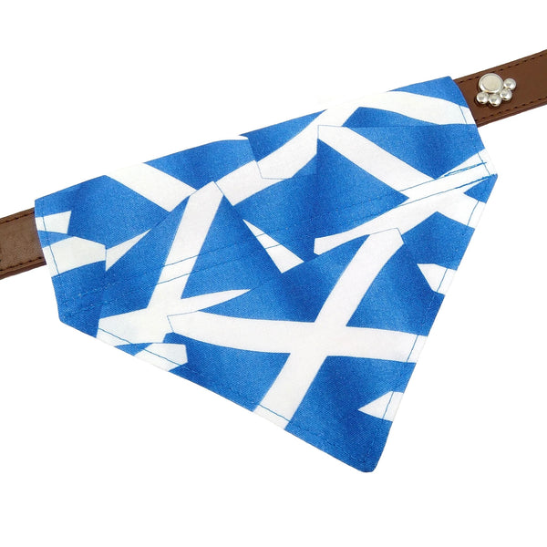 Scottish flag dog bandana on collar