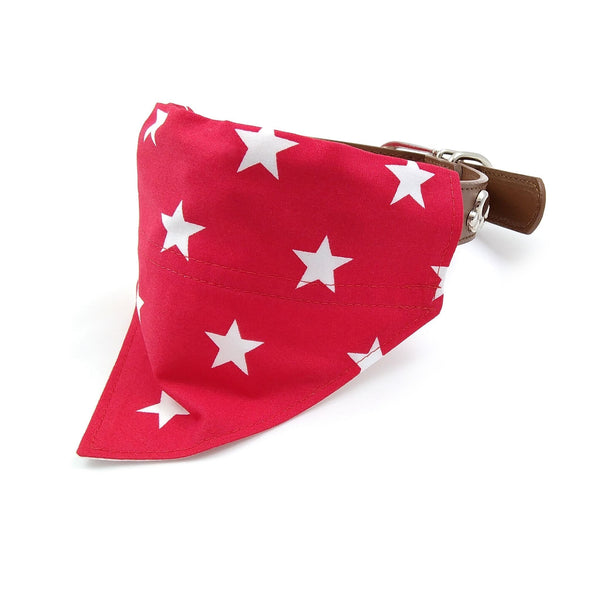 Red stars dog neckerchief on collar from front