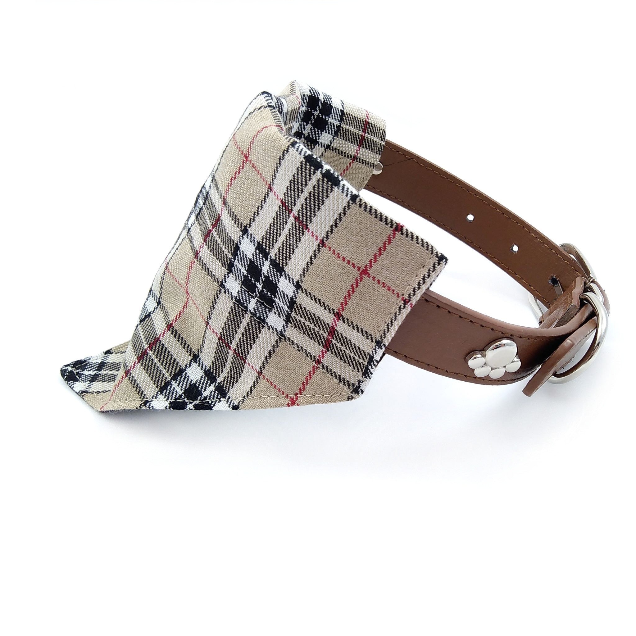 Beige tartan dog bandana on collar from size