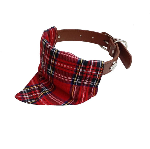 Tartan bandana on dog collar from front