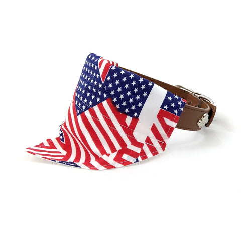 USA flag bandana on dog collar