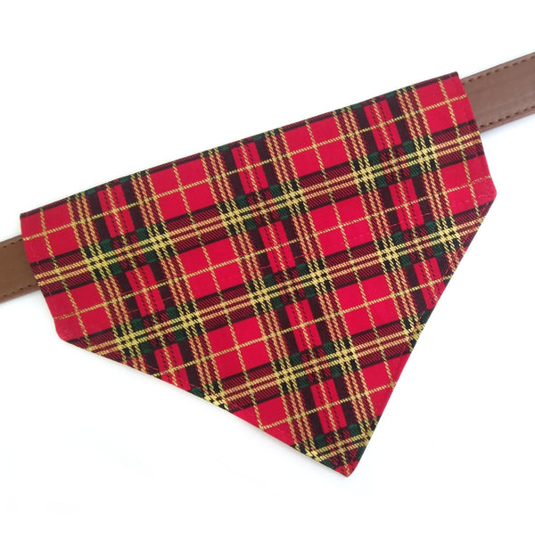 Christmas tartan bandana on dog collar from above