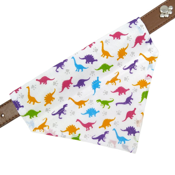 White with multicoloured dinosaurs dog bandana on collar from above