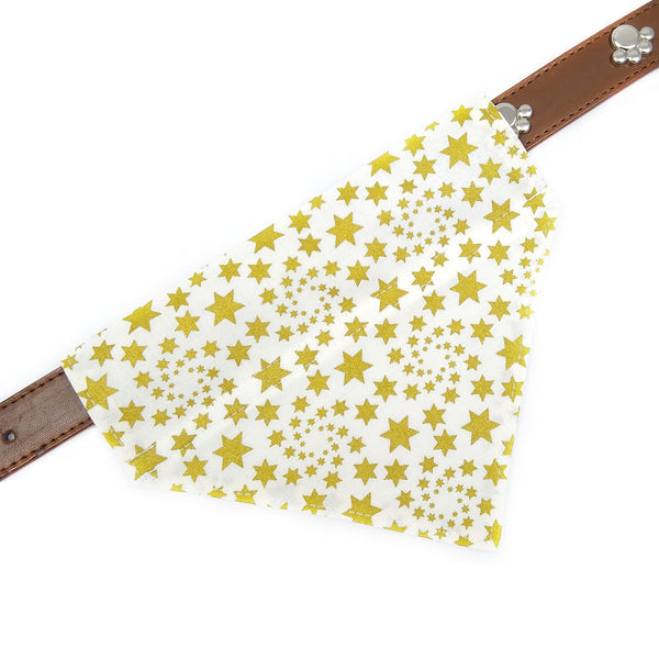 Gold stars bandana on dog collar from above