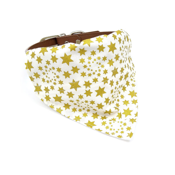gold stars puppy bandana on dog collar from front