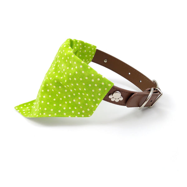Green bandana with white spots on dog collar