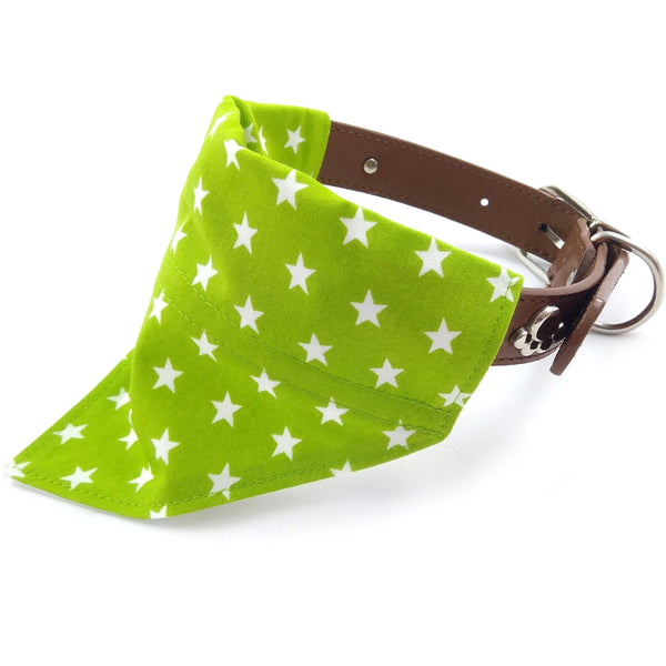 green puppy bandana on collar from front