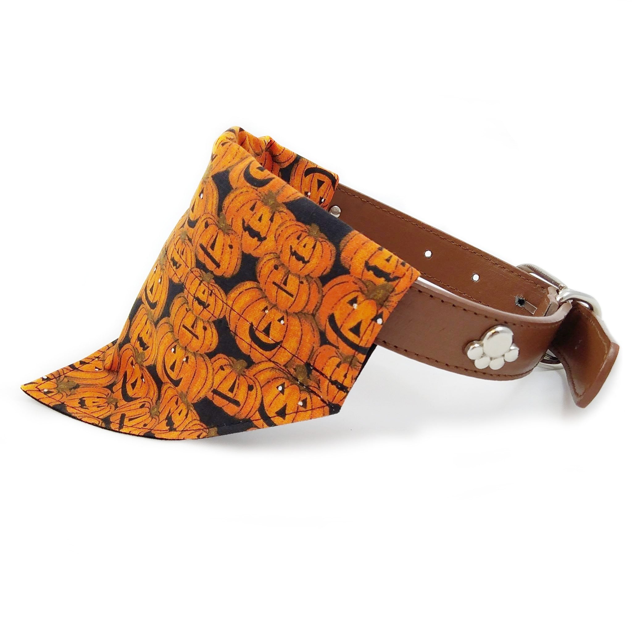 Pumpkins dog bandana on collar