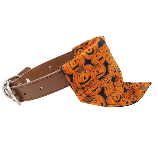 Halloween pumpkins puppy neckerchief on collar