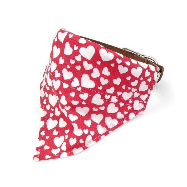 Hearts puppy neckerchief on dog collar from front