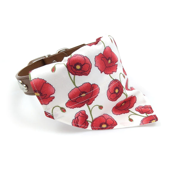 Ivory with red poppy puppy collar bandana