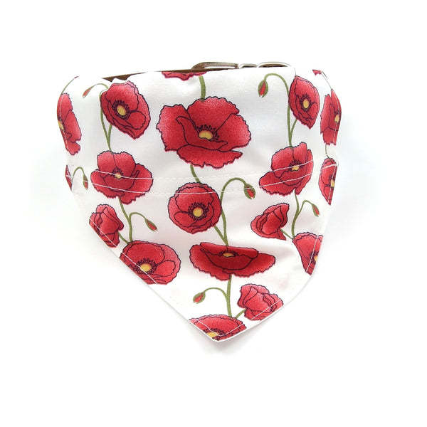 Ivory puppy neckerchief with red poppies on dog collar