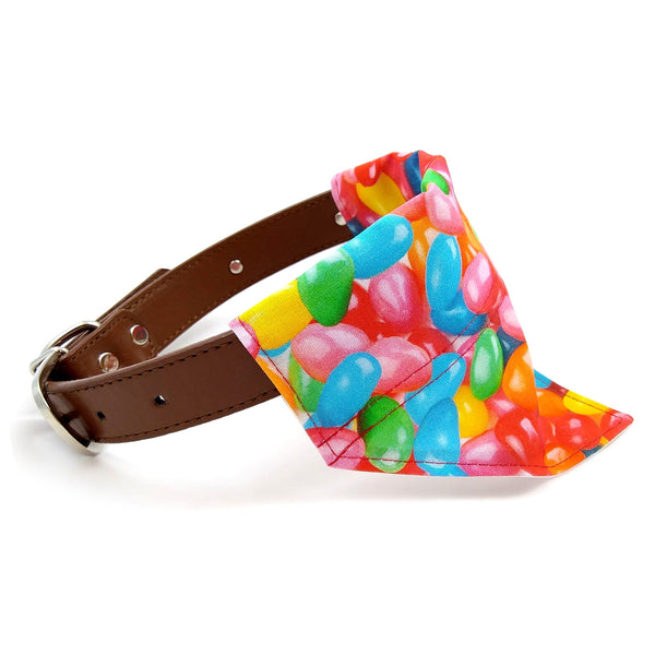 Jelly bean puppy collar bandana