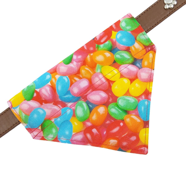 Jelly bean slip on dog bandana on collar