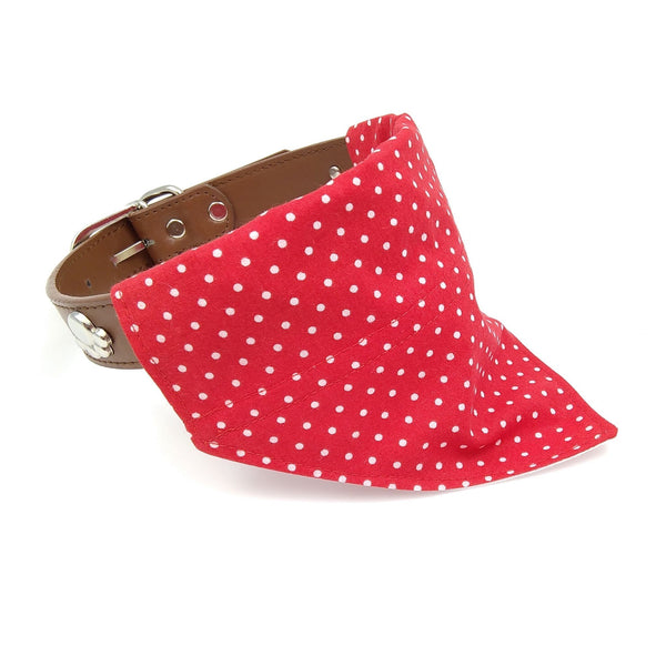 red with white spots neckerchief on dog collar