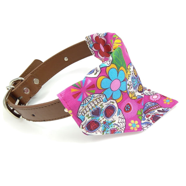 Pink sugar skulls bandana on dog collar from side