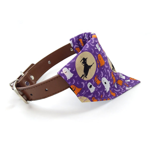purple halloween dog scarf on collar