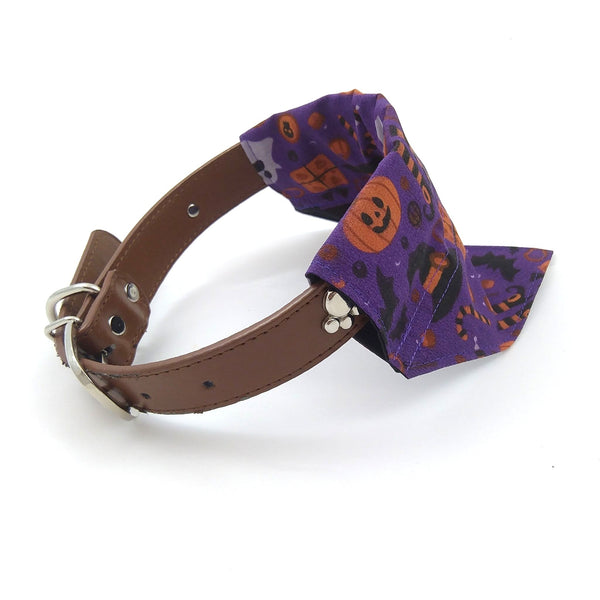 purple halloween puppy neckerchief on dog collar