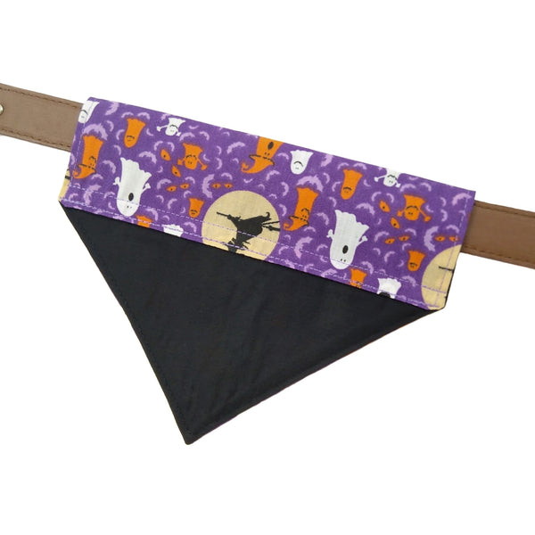purple lined dog bandana on collar