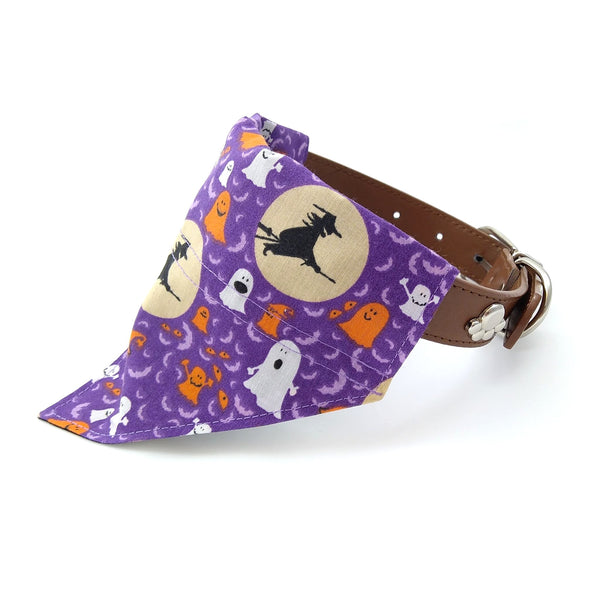 purple witches fog bandana on collar