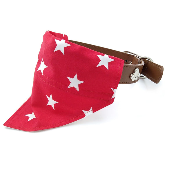 Red over the collar dog bandana on collar from side