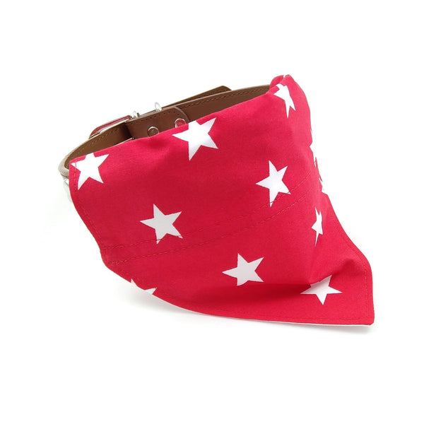 Red with white stars over the collar puppy bandana on dog collar from front