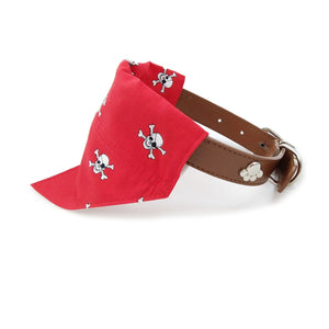 Red dog bandana with white skulls