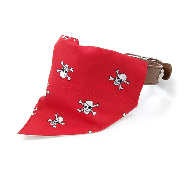 Red skulls puppy bandana on dog collar