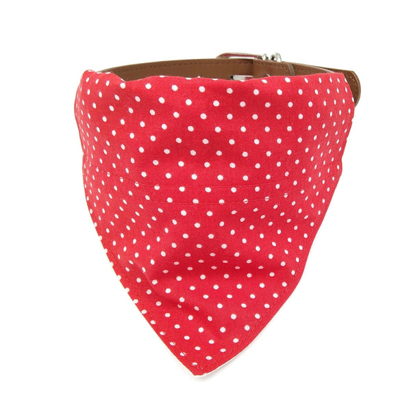 red spots puppy bandana on collar from front